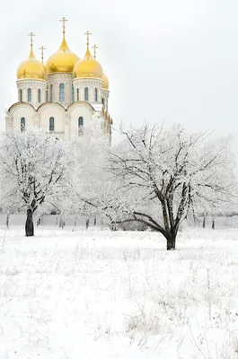 Храм в Бибирево. Зима картинки