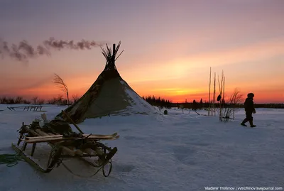 В БЕЛОМ СВЕТЕ ДНЯ И НОЧИ Ночь тундра зима. Борис Великов  yamal.photosight.ru | Галерея Фото Православного Форума Апостола Андрея  Первозванного картинки