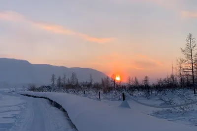 В городе плохо, а в тундре дом\": как устроен быт оленеводов летом и зимой и  почему они не хотят \"в цивилизацию\" | Путешествия с фотокамерой | Дзен картинки