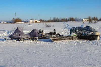 Зима, тундра. На небе красивое …» — создано в Шедевруме картинки