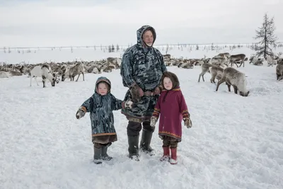 Арктический Тундры Зимой Баффинова Земля Квебек Канада — стоковые  фотографии и другие картинки Арктика - iStock картинки