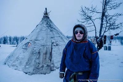 Териберка + Ловозерские тундры: В поисках северного сияния - купить тур по  цене 59 000 ₽ картинки