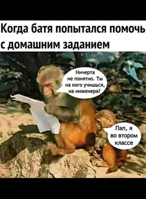 Прикольные приколы added a new photo. - Прикольные приколы картинки