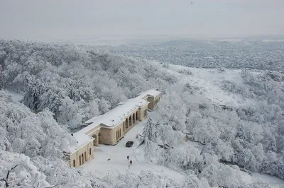 Зима | Галерея картинки