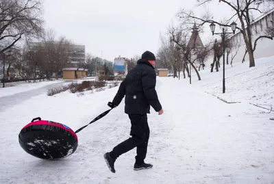 В Волгоградскую область на субботу, воскресенье, понедельник вернется зима  | ОБЩЕСТВО: Персона | ОБЩЕСТВО | АиФ Волгоград картинки