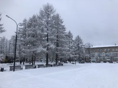 Картина Вот и зима, художник Наталья Говорухина картинки