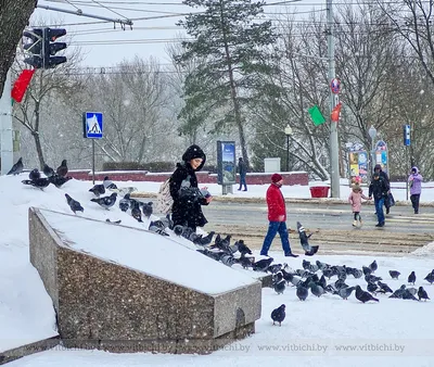 я по первому снегу бреду...Вот и зима пришла. :: Ольга Воронина –  Социальная сеть ФотоКто картинки