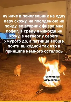 ну ниче в понелельник на одну пару схожу, на послденюю не пойду, во вторник  физра мне пофиг, в сред / Приколы для даунов :: приколы про студентов  (студенческие шутки и юмор, видео, картинки