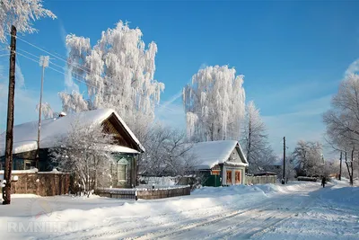 Фотоподборка: русская зима в деревне | Пейзажи, Живописные пейзажи,  Деревенские фотографии картинки