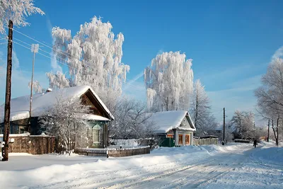 Фото Россия село Зима Природа Снег Дома Города Деревья сезон года картинки