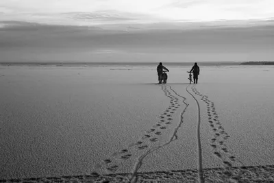 romance, зимняя свадебная фотосессия, свадьба зимой, свадьба зимой 2018  идеи, картинки,двое,счастливы,зима, зимняя фотосессия, Флористика на  свадьбу Москва картинки