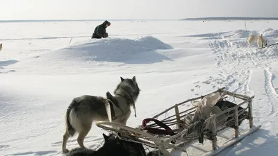 люди катаются на лыжах по склону, зима, зимние виды спорта, время года фон  картинки и Фото для бесплатной загрузки картинки