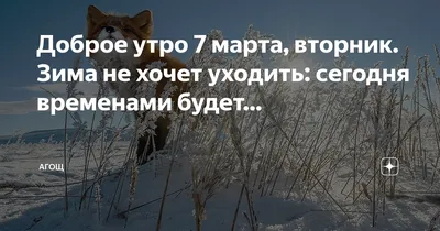 Фотозарисовка «Зима не хочет уходить — пурга метет и снег кружит!» (9  фото). Воспитателям детских садов, школьным учителям и педагогам - Маам.ру картинки