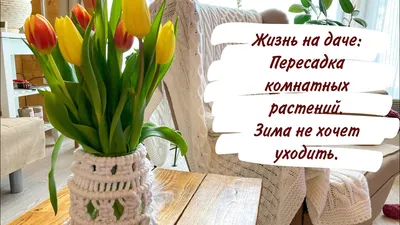 Доброе утро 7 марта, вторник. Зима не хочет уходить: сегодня временами  будет… | АГОЩ | Дзен картинки