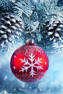 Image Christmas Snowflakes Snow Balls Pine cone 640x960 картинки