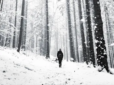 Зима И Одиночество — стоковые фотографии и другие картинки Горизонтальный -  Горизонтальный, Зима, Мирный пейзаж - iStock картинки