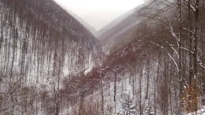 Девушка сидит на окне. За окном зима, город. Падает снег. Девушка в джинсах  босиком. Вечер, ночь. Девушка грустит или мечтает Stock Photo | Adobe Stock картинки