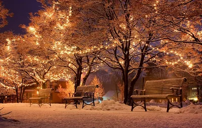 Фотография Новый год зимние Природа Снег Парки Ночь Гирлянда Скамейка  Города Деревья Праздники Рождество Зима Скамья… | Зимние картинки, Фоновые  рисунки, Фотографии картинки