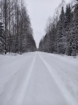 Зима в городе, снегопад, туман, …» — создано в Шедевруме картинки