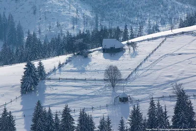 Зима В Карпатах. Украина. Ukraine.Sunny День. Солнечный День. Фотография,  картинки, изображения и сток-фотография без роялти. Image 67068653 картинки