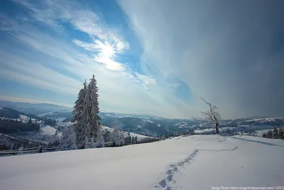 Украинский фотограф показал как выглядит зима в Карпатах (фото) - Ukraine IS картинки