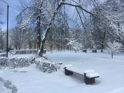 И снова пришла зима. В марте | Мир Труд Дача | Дзен картинки