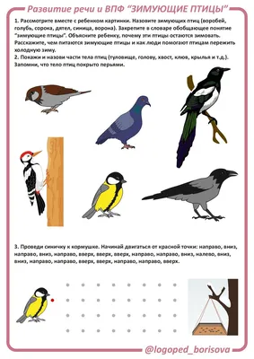 Конспект логопедического занятия в подготовительной группе «Зимующие птицы»  | Дефектология Проф картинки