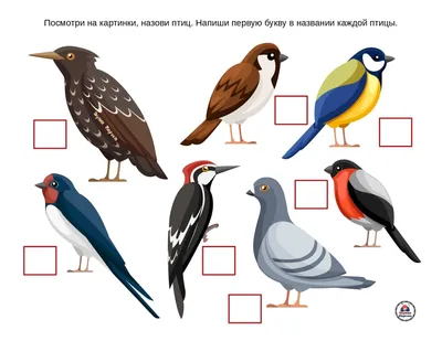 Тема: «Зимующие птицы» картинки