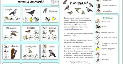 Занятие по изготовлению поделок из ниток и картона в подготовительной  группе «Зимующие птицы на кормушке» (7 фото). Воспитателям детских садов,  школьным учителям и педагогам - Маам.ру картинки