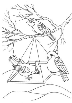 Раскраска зимующие птицы | Детские раскраски, распечатать, скачать картинки