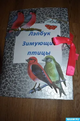 Раскраски Зимующие птицы (35 шт.) - скачать или распечатать бесплатно #648 картинки