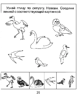 Зимующие птицы рисунок - 76 фото картинки