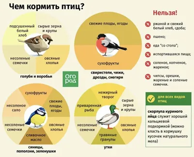 Новодвинская централизованная библиотечная система | Новости картинки