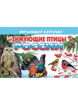 День зимующих птиц России | 14.01.2022 | Кологрив - БезФормата картинки