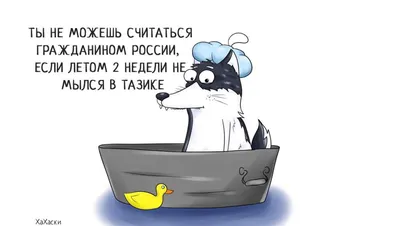 Купить Копилка \"Собака хаски\", большая флок 40 см (серый) в Новосибирске,  цена, недорого - интернет магазин Подарок Плюс картинки