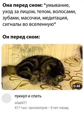 КотДзен мир глазами кота | Надо спать больше #кот #приколы #сон | Дзен картинки