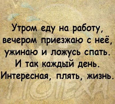 Пин от пользователя nasveyf на доске Приколы в 2023 г | Мемы, Веселые мемы,  Смешные мемы картинки