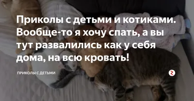 Приколы с детьми и котиками. Вообще-то я хочу спать, а вы тут развалились  как у себя дома, на всю кровать! | ПРИКОЛЫ с детьми | Дзен картинки