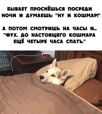 Я; *ПРОСТО ЛОЖУСЬ СПАТЬ ГОЛОДНЫМ* ЧТО МНЕ СНИТСЯ НОЧЬЮ: / Приколы для  даунов :: разное / картинки, гифки, прикольные комиксы, интересные статьи  по теме. картинки