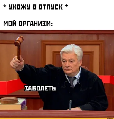 Приколы и анекдоты об отпуске и путешествиях | Поехали на дачу? | Дзен картинки