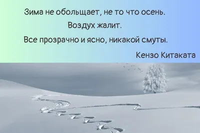 Цитаты про зиму: красивые высказывания о холодном, но красивом времени года картинки