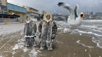 Холодно / смешные картинки и другие приколы: комиксы, гиф анимация, видео,  лучший интеллектуальный юмор. картинки