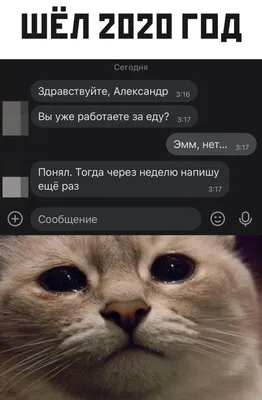 врекомендации #холостяк #прибор #для #холостяка #безрук | TikTok картинки