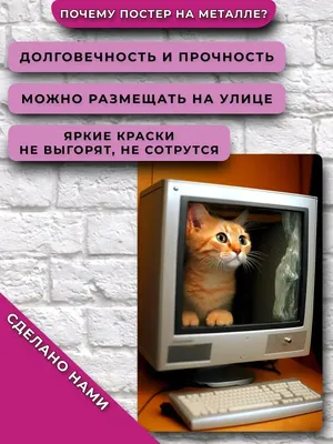 Постер Посидеть в компе Подарки приколы НЕЙРОСЕТЬ 159613833 купить за 130  500 сум в интернет-магазине Wildberries картинки