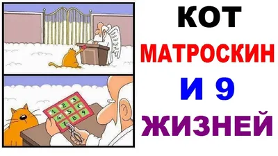 кот в коробке :: котэ (прикольные картинки с кошками) / смешные картинки и  другие приколы: комиксы, гиф анимация, видео, лучший интеллектуальный юмор. картинки