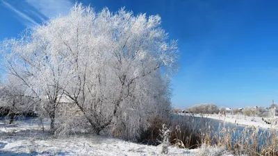 Снежная зима в России (55 фото) - 55 фото картинки