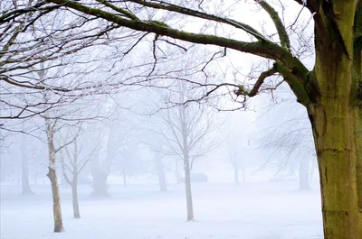 Снежная, красивая зима. Выборг,парк Монрепо. Январь 2019. Snowy, beautiful  winter in Vyborg. January… | Instagram картинки