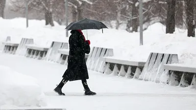 Ростов, я люблю тебя - Красивая снежная зима - редкий гость в нашем южном  городе ❄ | Facebook картинки