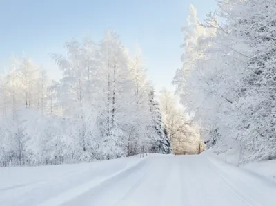 Let it snow: самые снежные страны | MARIECLAIRE картинки