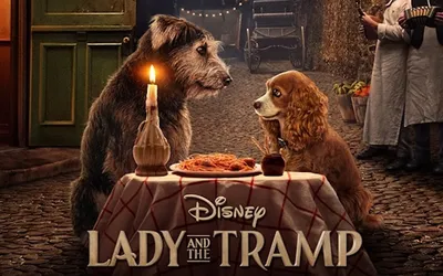 Рецензия на фильм «Леди и Бродяга» / Lady and the Tramp картинки